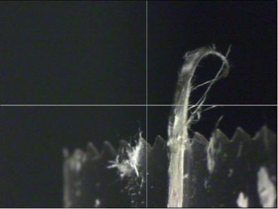 Single Sepiolite Fiber