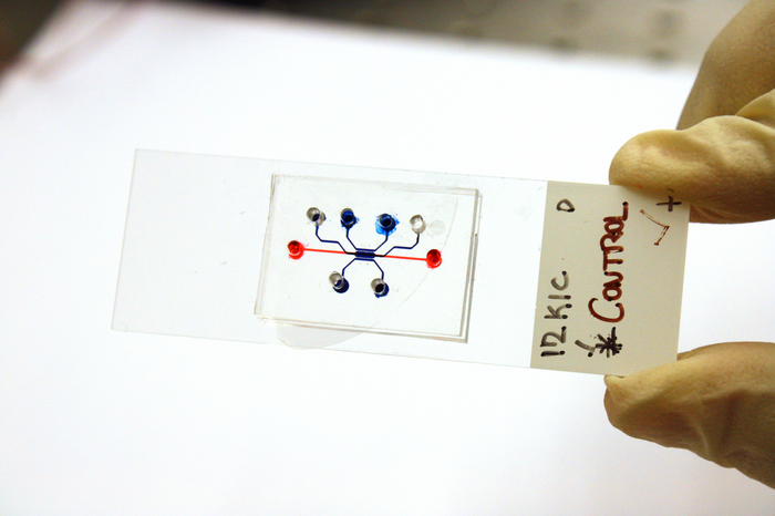 Cancer cells in a microfluidic device