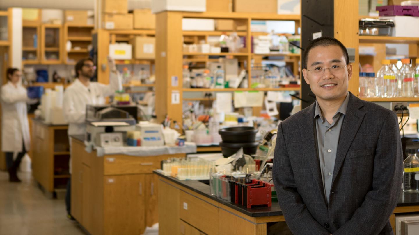 Yibin Kang, Princeton University