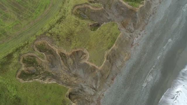 Costal Gully, Canterbury