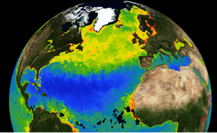 Waktu Plankton Laut Mekar untuk Bergeser dengan Pemanasan Global – Bertambah dengan Itu?