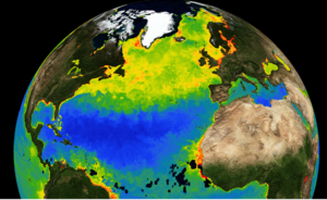 Fig.1: Marine phytoplankton spring bloom.