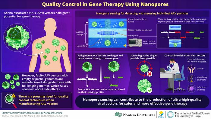 Quality control of viral vectors for gene therapy