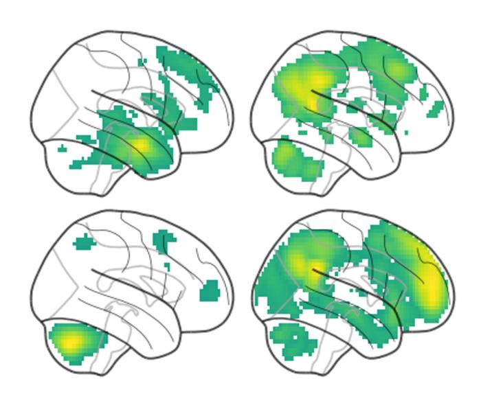 Brain networks associated with memory performance