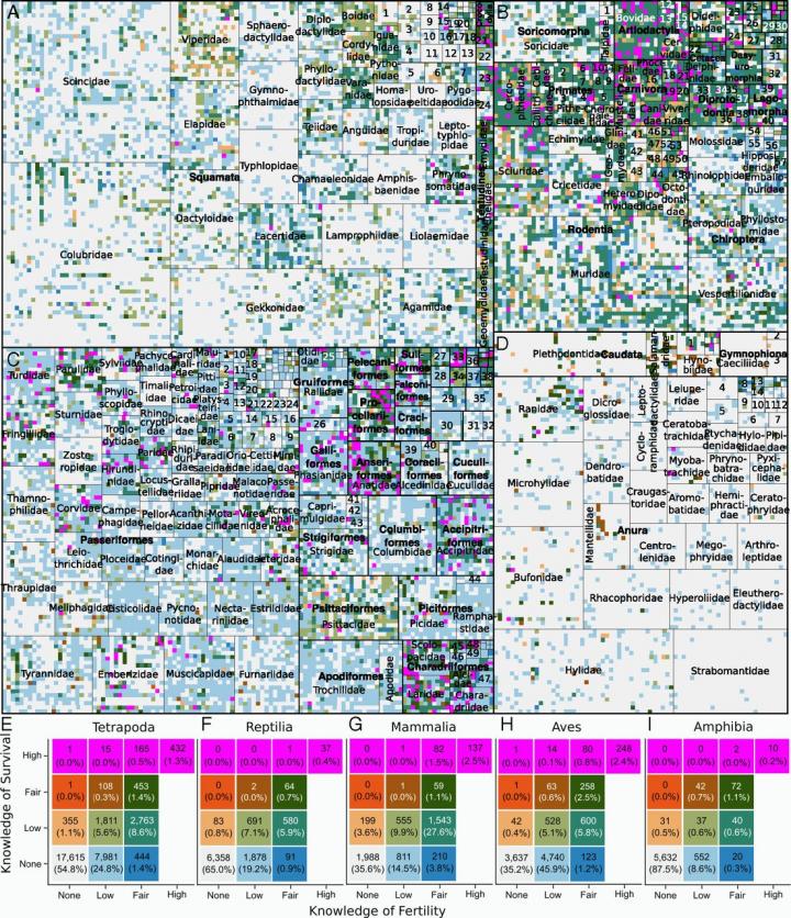 Species Knowledge Index of Demographics