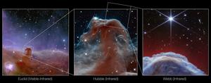 Image: Horsehead Nebula (Euclid, Hubble and Webb Images)