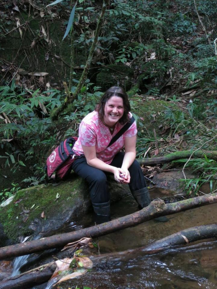 Ana Carnaval, City College of New York 