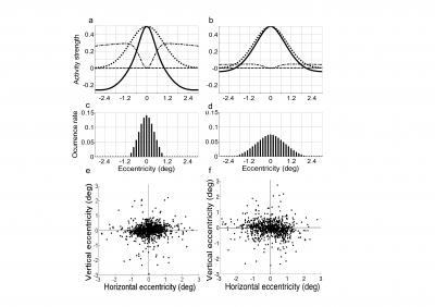 Changes in Activities of SC Result in Altered Spatial Distribution of FS Occurrence