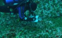 Diver Taking Notes with Examining a Study Area on the Ocean Floor