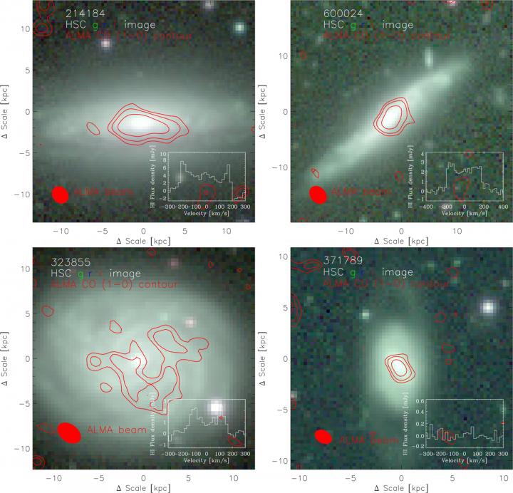 The Optical Color Images of the Four Galaxies for FAST Observation