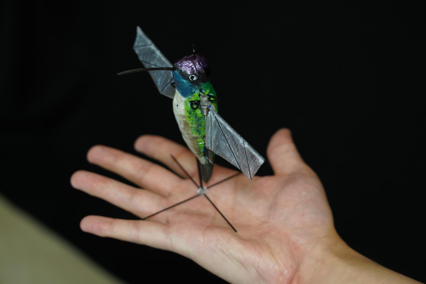 Hummingbird Robot with Decorative Shell