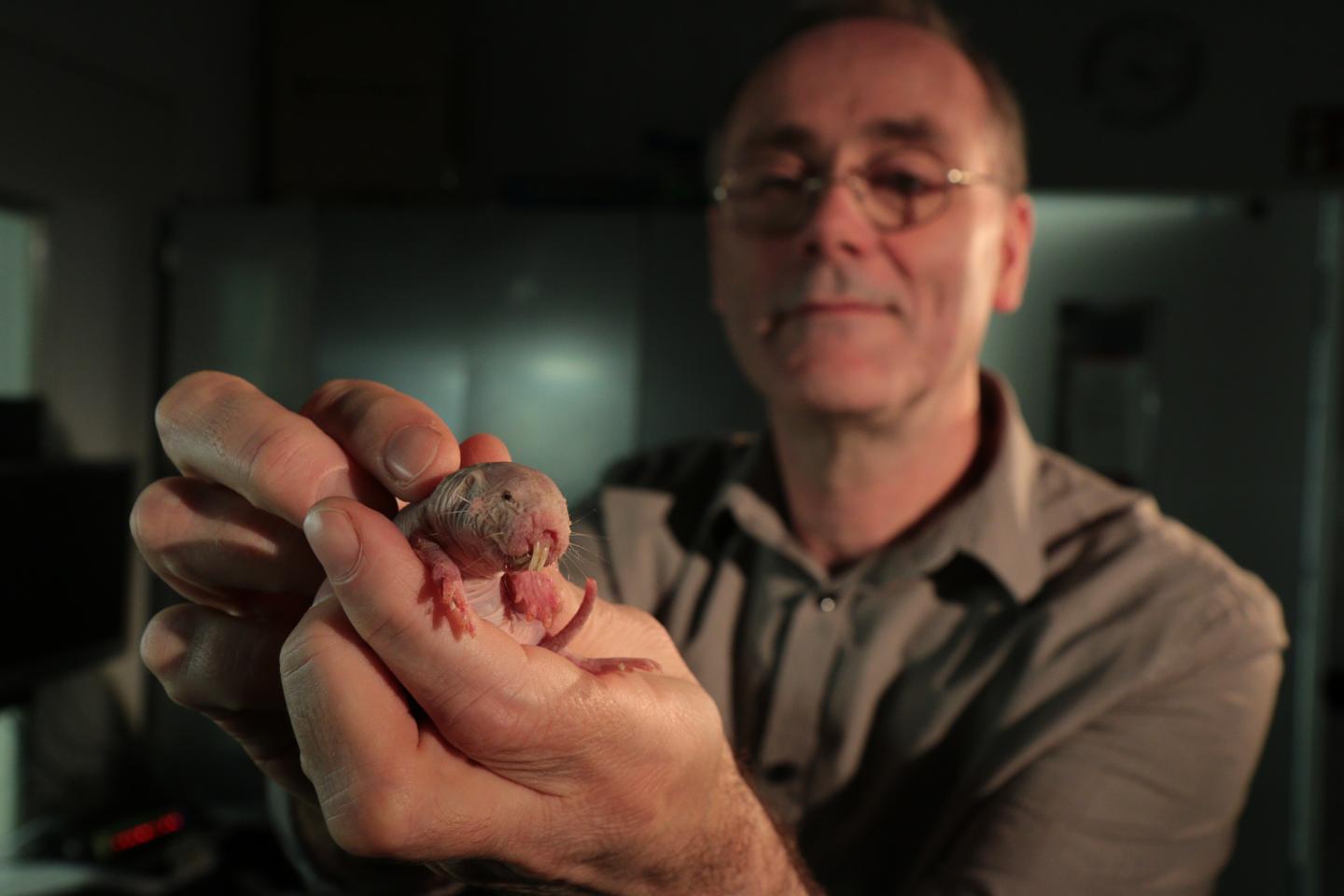 Prof. Gary R. Lewin Holding a Naked Mole-Rat