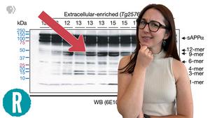 www.eurekalert.org