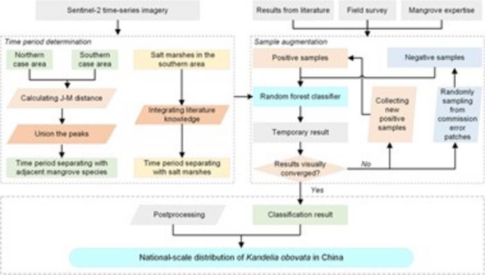 Workflow for mapping K. obovata based on dual-temporal Sentinel-2 imagery.