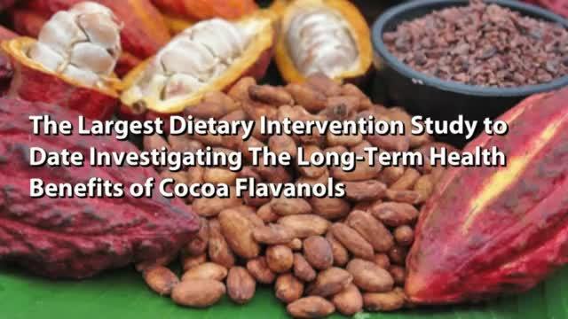 World's Largest Dietary Intervention Study of Cocoa Flavanols (2 of 2)
