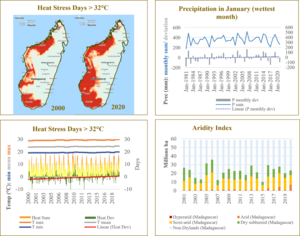 Madagascar case study