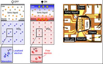 A Schematic and An Optical Micrograph of a New Transistor