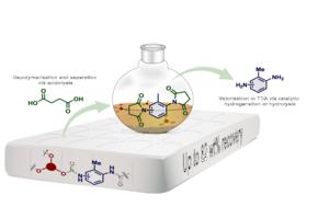 Acidolysis graphical abstract