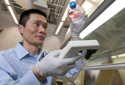 Growing Cancer Cells