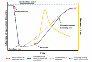 Theoretical diagram