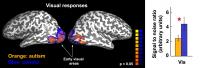 Autistic Adults have Unreliable Neural Responses (3 of 3)