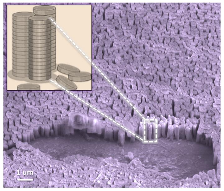 Vertical Nanopillars Stack on Graphene like Coins