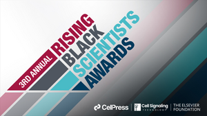 Rising Black Scientists Awards