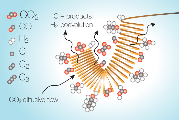 Overcoming a Bottleneck in Carbon Dioxide Conversion