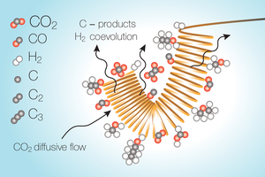 Limits CO2 reduction