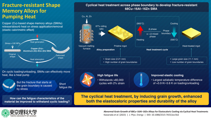Cyclical heat treatment across phase boundary to develop fracture-resistant 68Cu-16Al-16Zn SMA