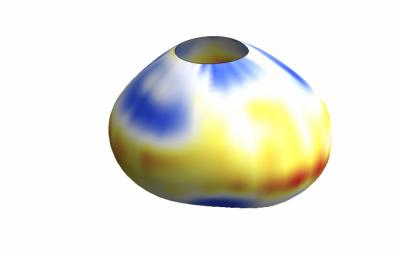 A 3-D Reconstruction of a Droplet Deformed by Cellular Forces