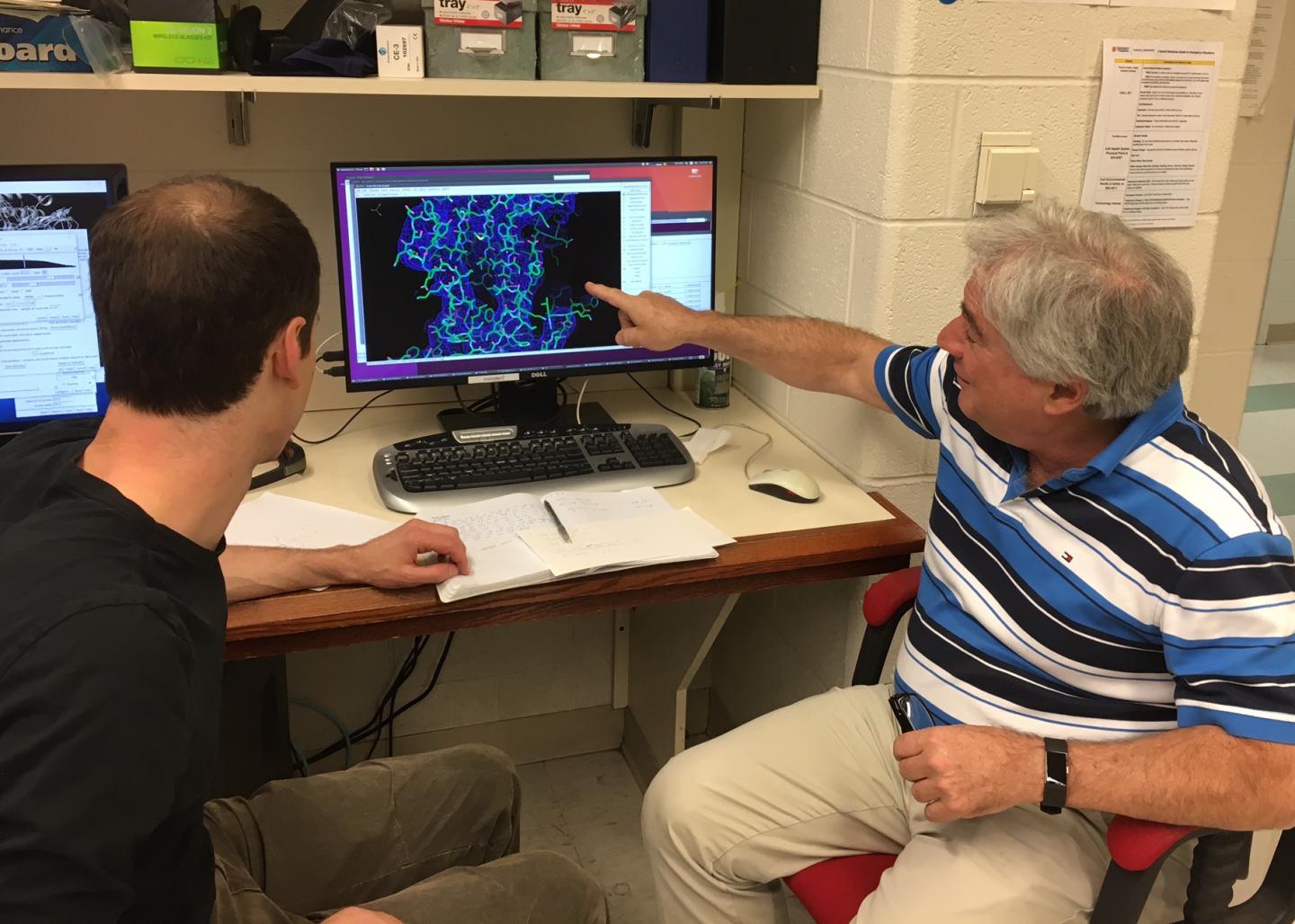 Indestructible Virus Yields Secret to Creating Super-Durable Materials (2 of 2)