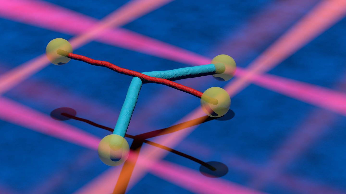 Microtubule and intermediate filament