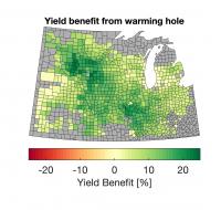 Yield Benefit from Warming Hole