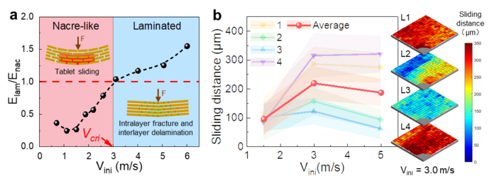 Anomalous inapplicability of nacre-like architectures as impact-resistant templates in a wide range of impact velocities