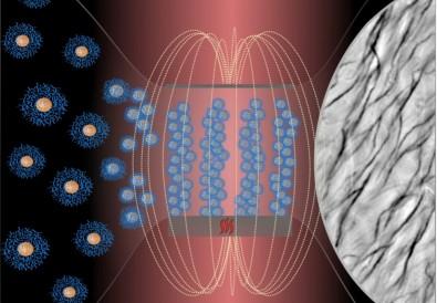 Flexible biocompatible cilia