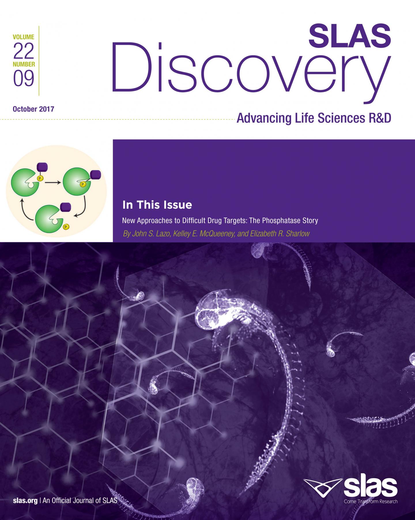 New Approaches to Difficult Drug Targets: The Phosphatase Story