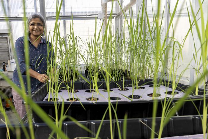 Vibha Srivastava portrait in greenhouse