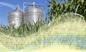 Bioenergy – Data boost