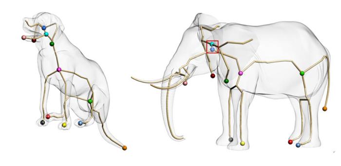 3D skeleton graph examples