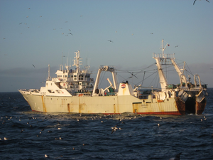 Fishing in Falkland Islands