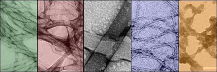 TEM Images of Self-Assembling Nanostructures and Their Recombinations, in False Colors
