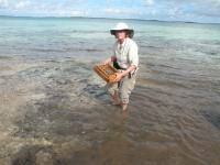 Author Janet Franklin Screen Washing Sediment for Fossils