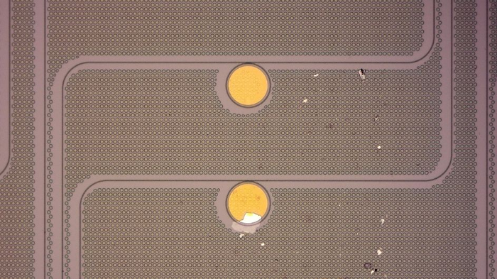 Photonic circuits with tungsten oxyselenide (TOS)-doped graphene placed on circular ring resonators.