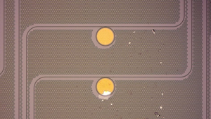 Photonic circuits with tungsten oxyselenide (TOS)-doped graphene placed on circular ring resonators.