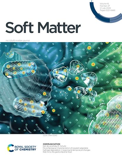 Inside Cover, Soft Matter, 21 July 2020