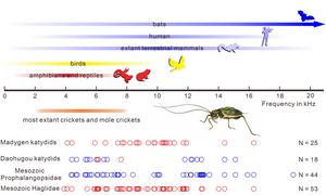 Frequency range of hearing in vertebrates and frequency range of tones used by extant crickets and fossil katydids