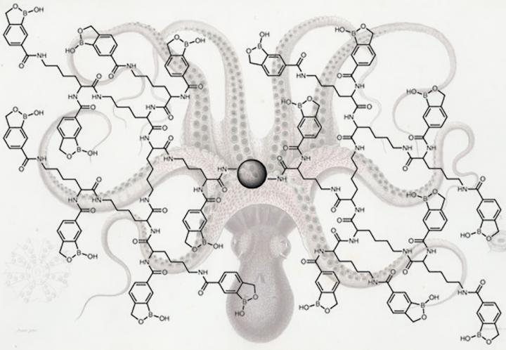 Chemical Octopus that Catches Trace Glycoproteins