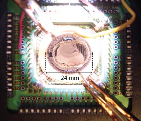 MEA Recording Chamber