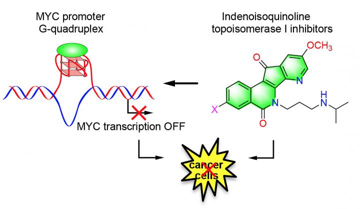 Purdue University Anticancer Agents